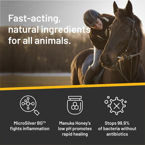 Absorbine Silver Honey Rapid Wound Repair Ointment for Horses & Large Animals, 2oz